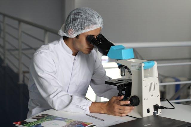 Investigación & Desarrollo